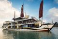Orchid Cruise