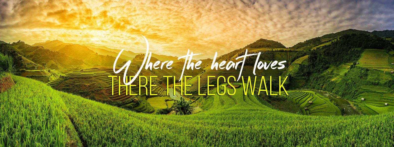 SAPA TOURS