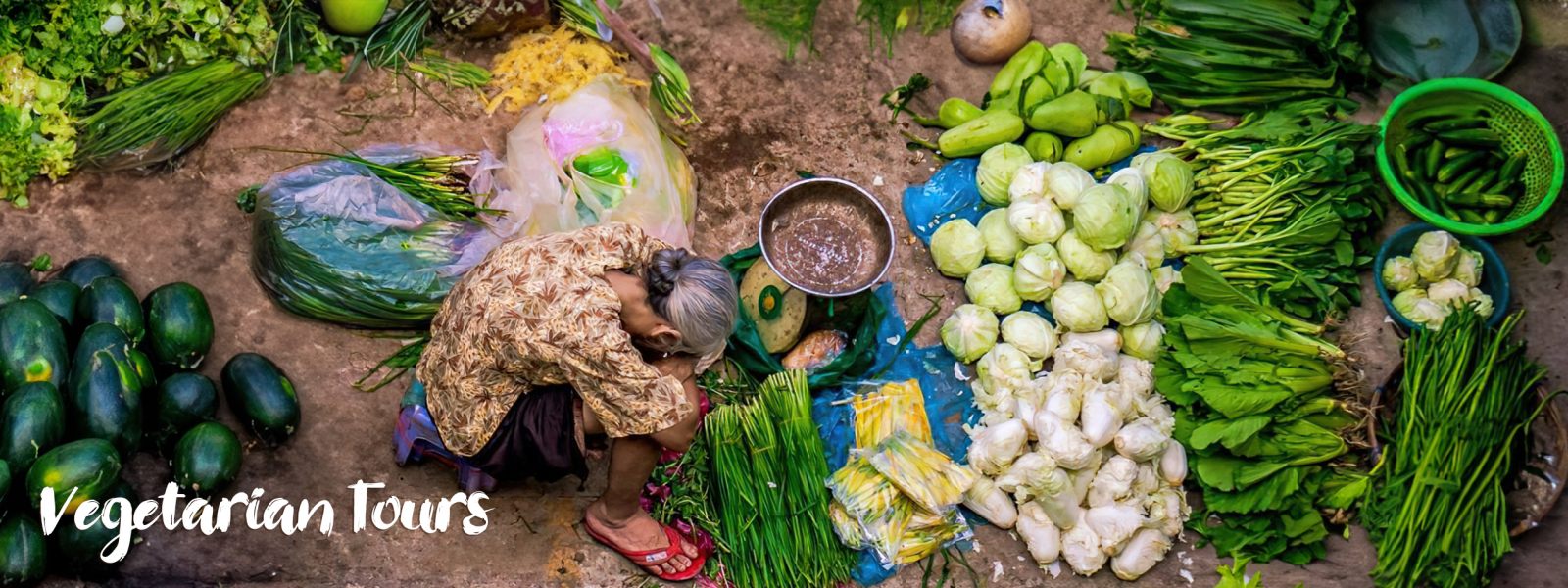Vegetarian Tours