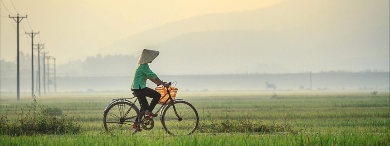 Vietnam Cycling Tours