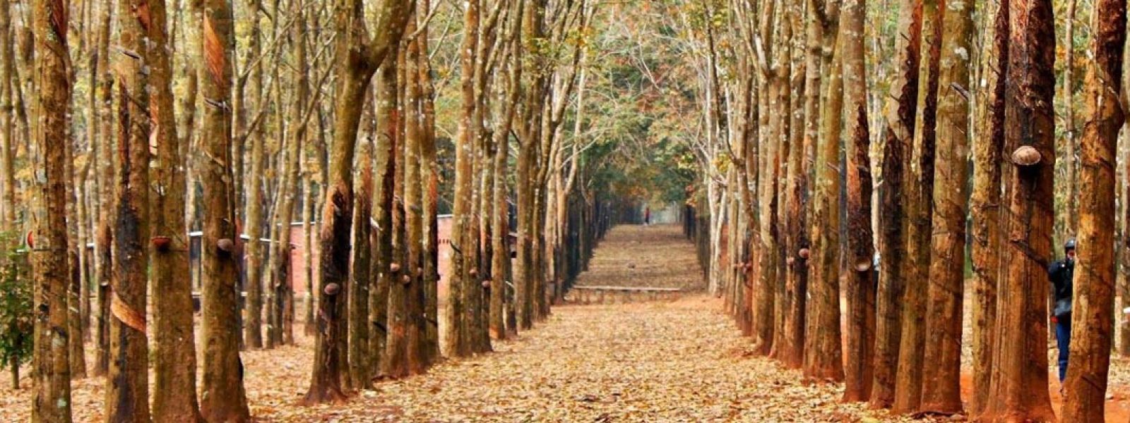 Destinations in Tay Ninh