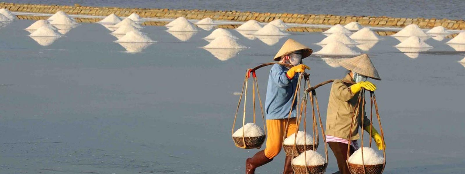 Destinations in Salt Land - Ninh Thuan