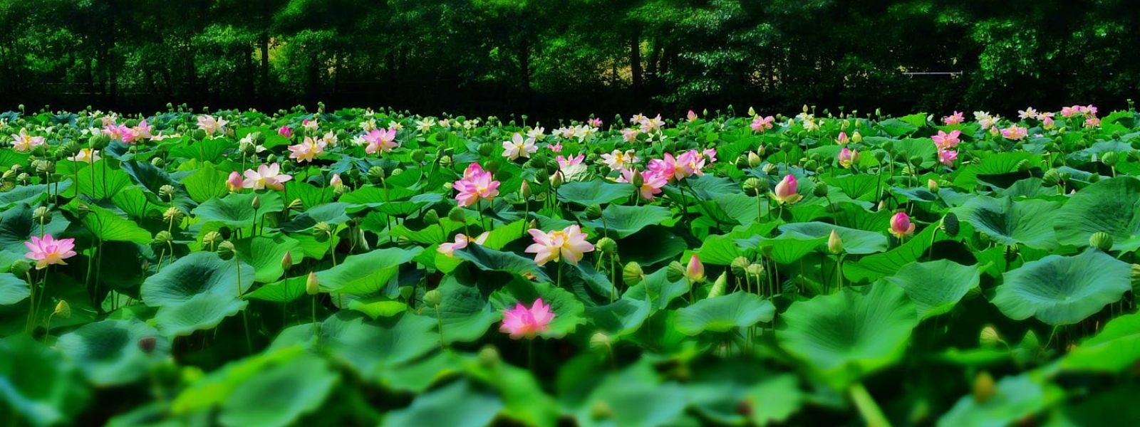 Destinations in Bac Ninh
