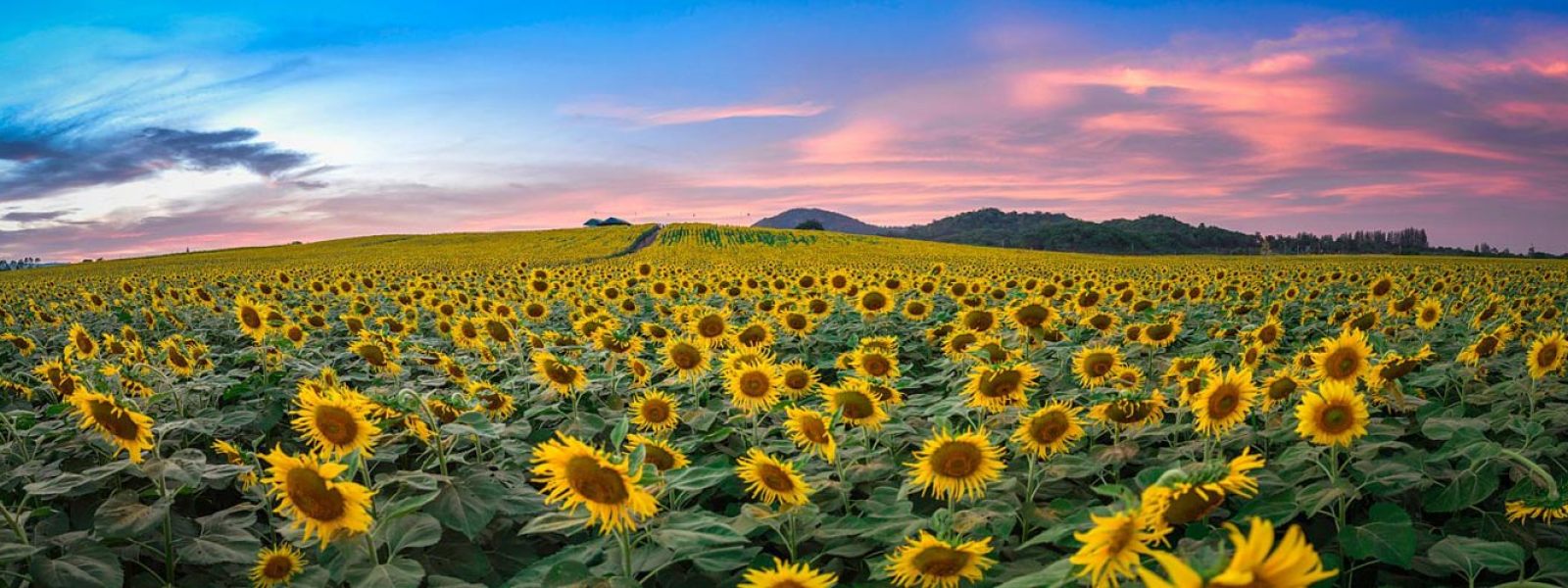 Destinations in Nghe An