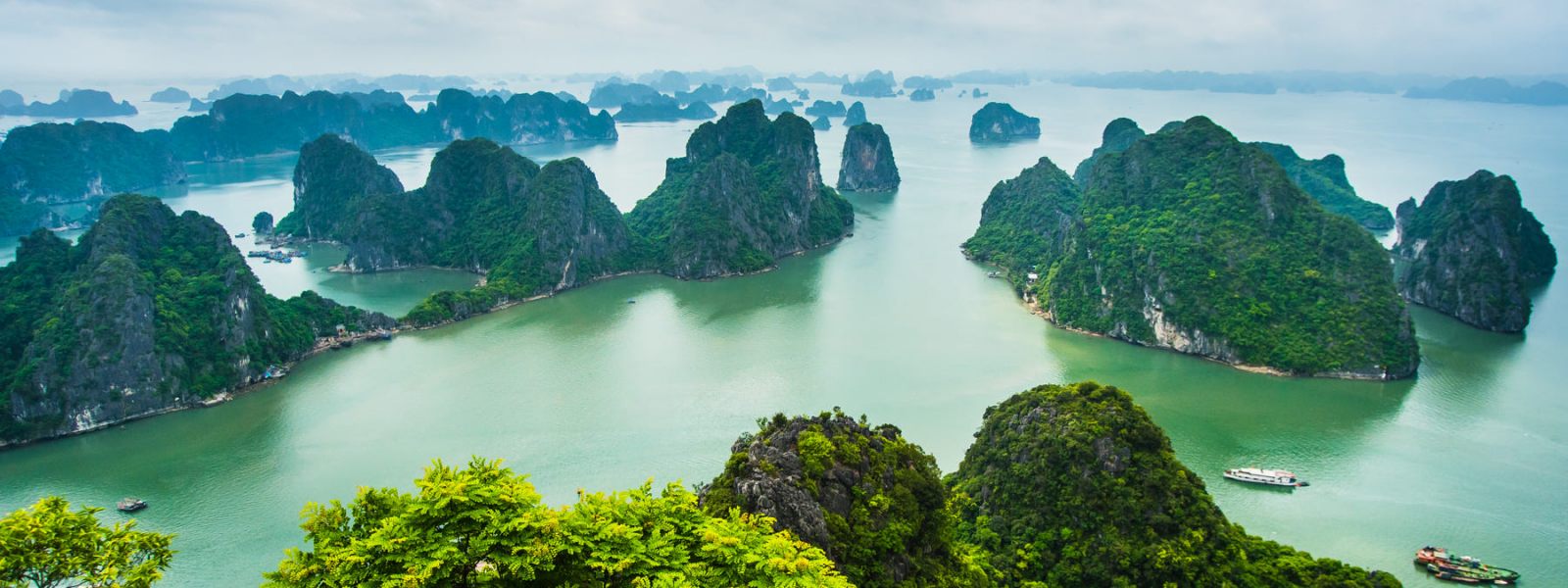 ha long Bay Tour