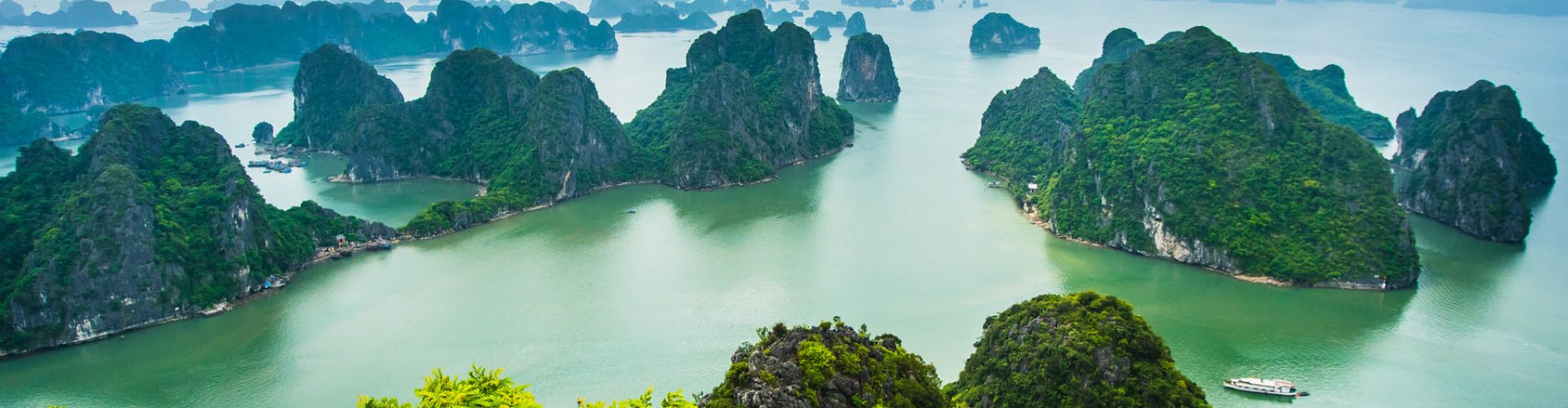 Luxury Cruises