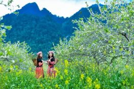 Mai Chau Stunning View