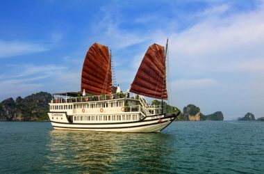 Carina Cruise