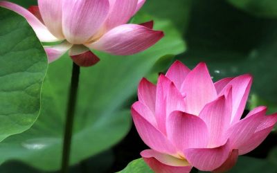 Chuyên nghiệp, tận tình với khách hàng