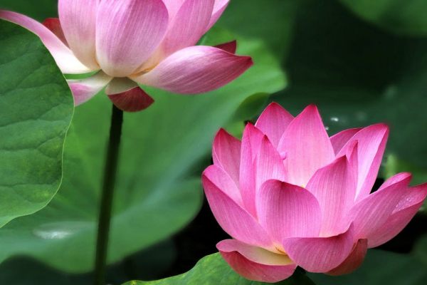 Chuyên nghiệp, tận tình với khách hàng