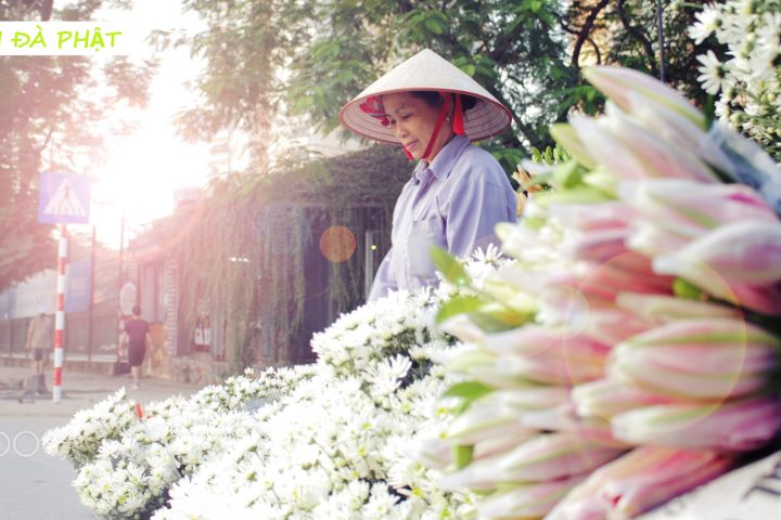 Best 7 Days Of Northern Vietnam