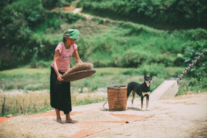 Best 15 Days Of Vietnam From North To South