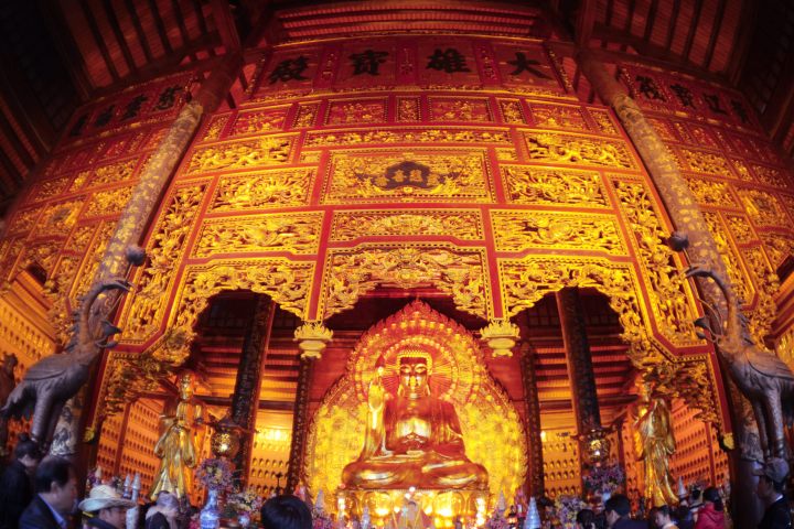 Trang An Bai Dinh Pagoda 1 Day Tour