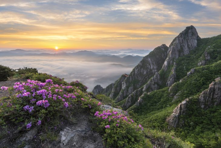 Tet Holiday In Vietnam