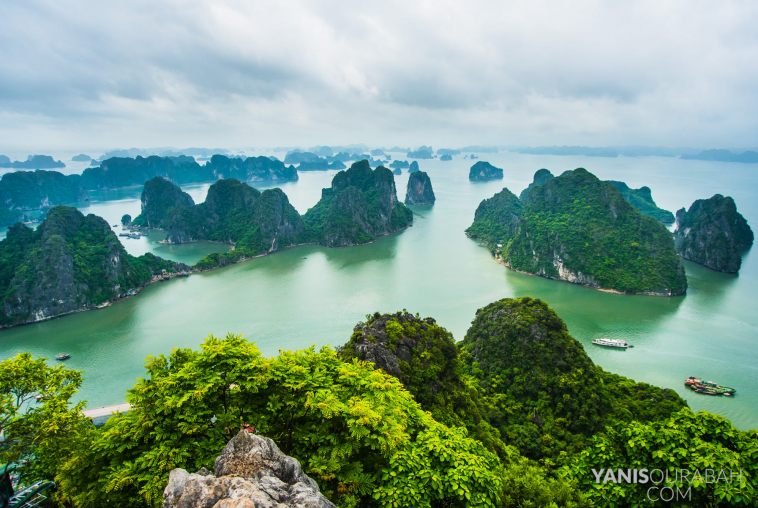 halong_luxury_tour